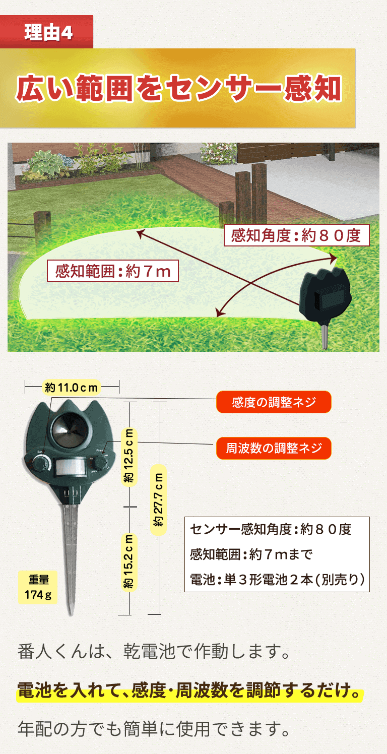 番人くんが選ばれる理由4