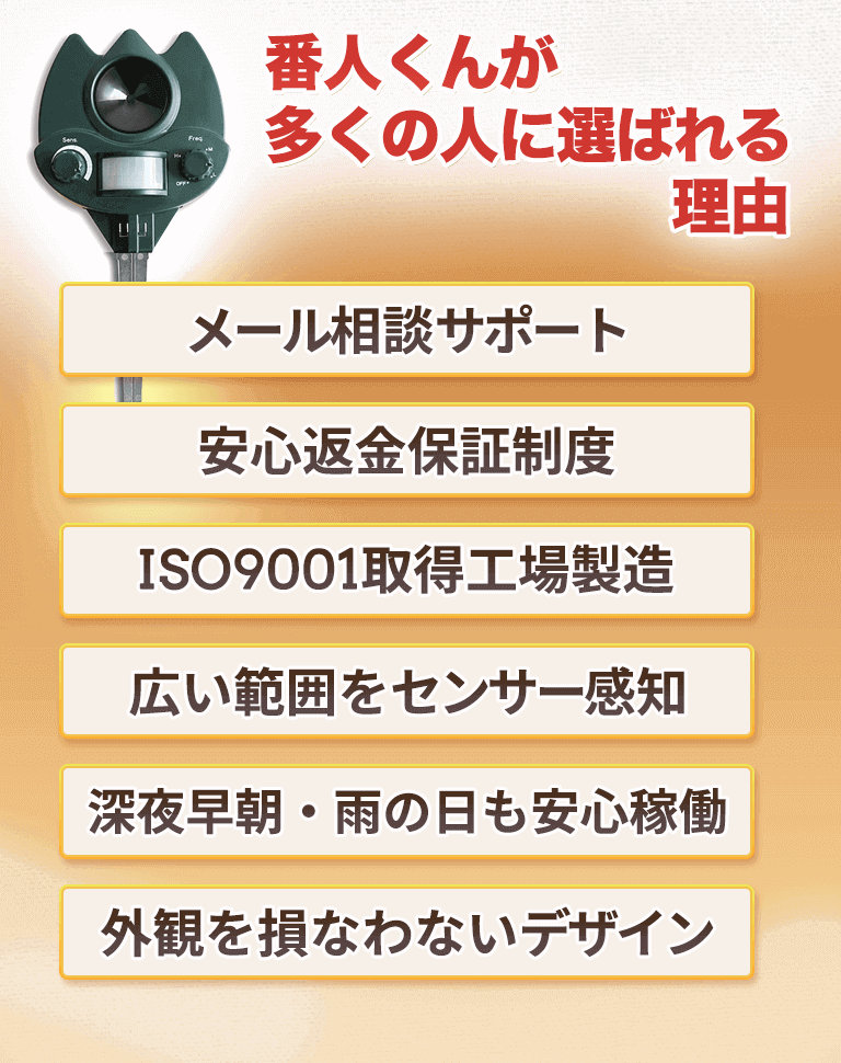 番人くんが選ばれる理由まとめ