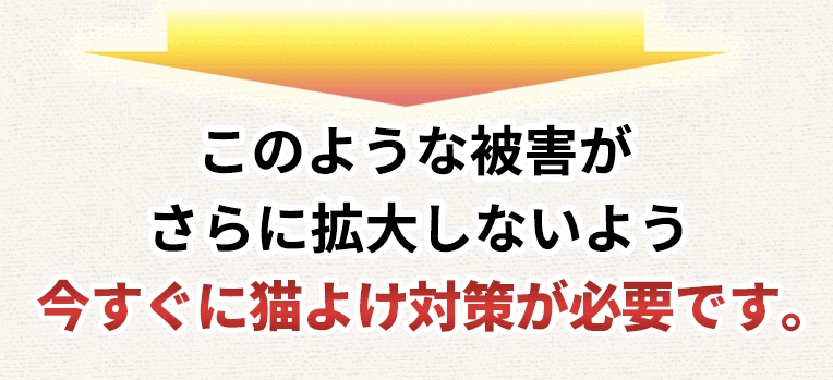 今すぐ猫よけ対策