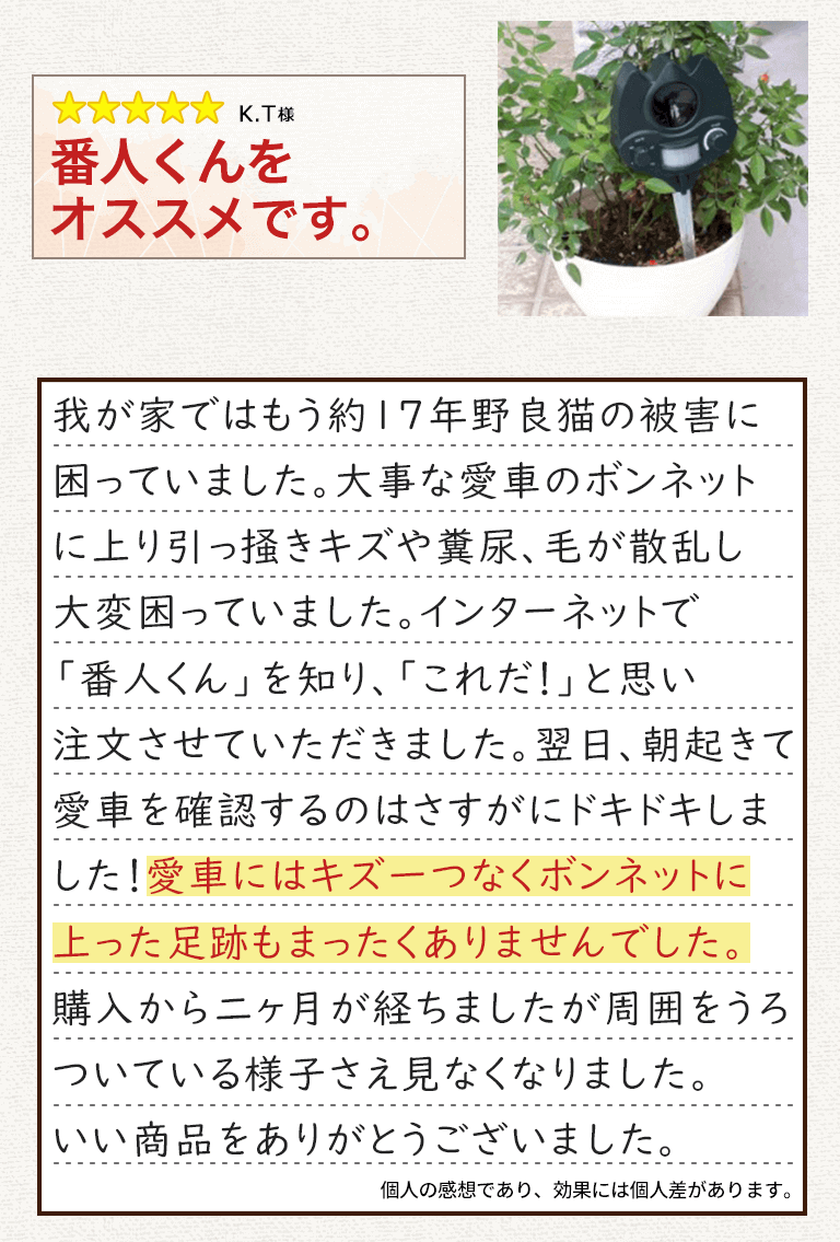 猫よけ対策に成功したお客様の声2