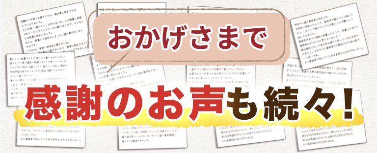 猫よけ対策に成功したお客様の声タイトル1