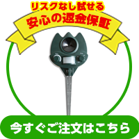 ご注文はこちら