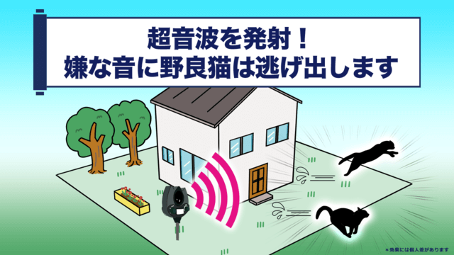 番人くんとは2