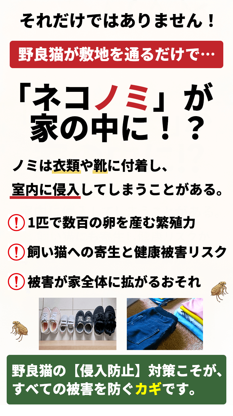 ネコノミ