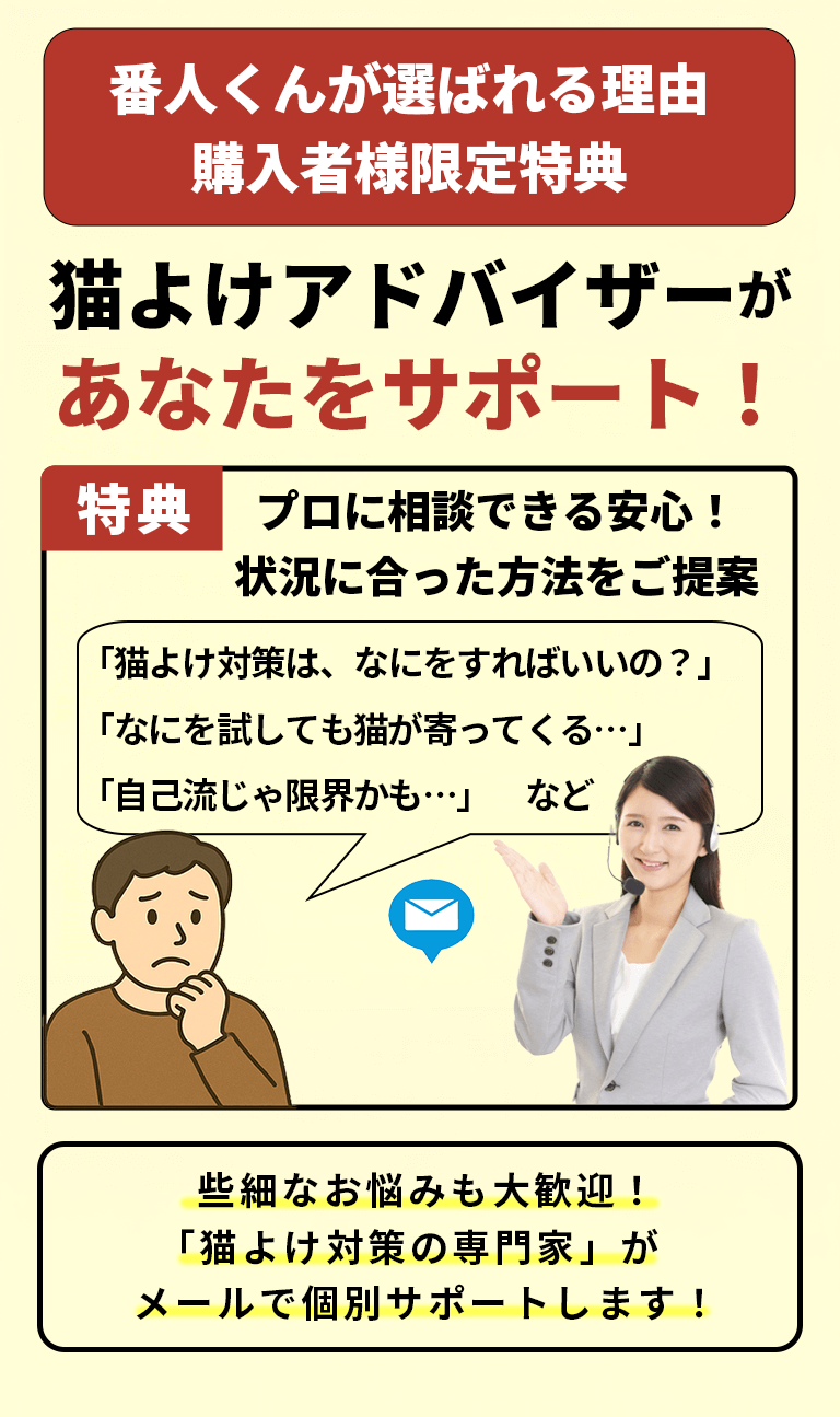 購入者様限定特典