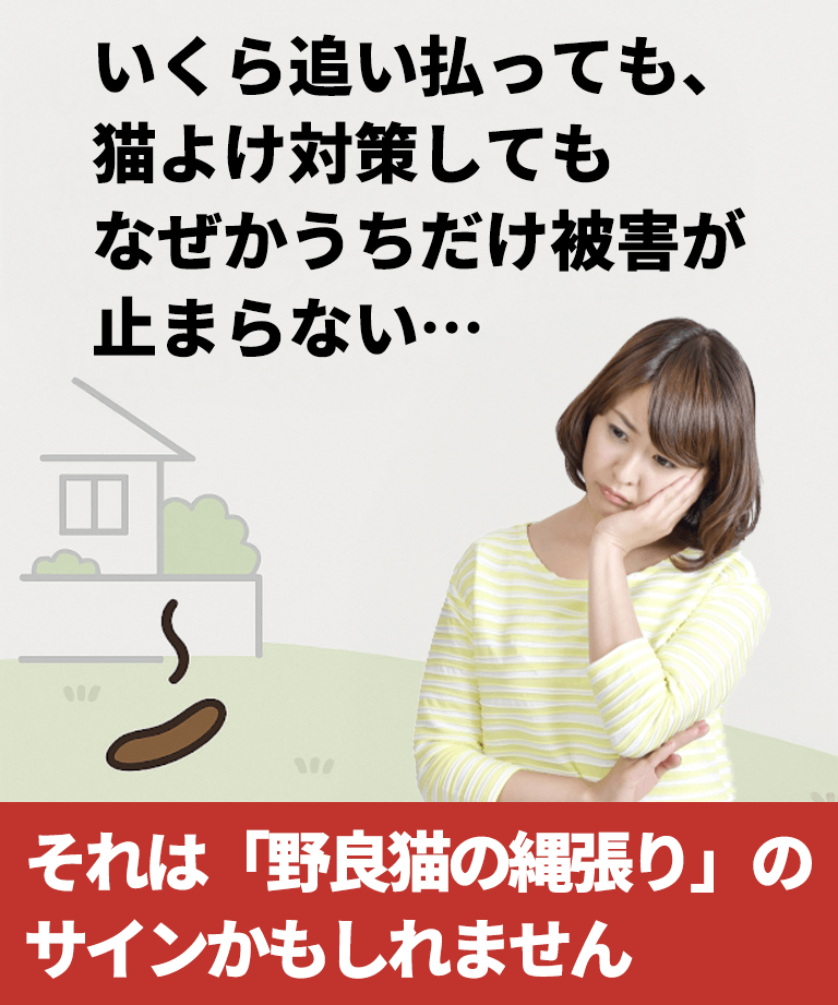 縄張りのサイン