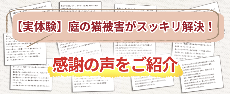 お客様の声タイトル