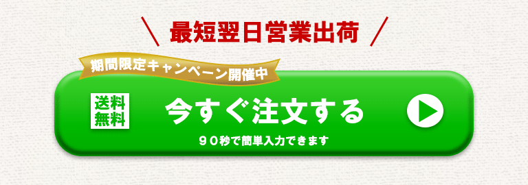 今すぐ注文する