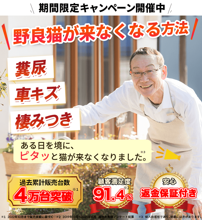 野良猫が来なくなる方法