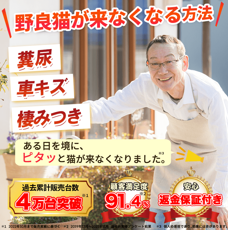 野良猫が来なくなる方法