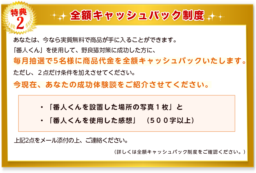 特典2