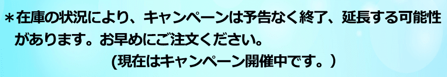 キャンペーンテキスト