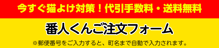 ご注文フォーム