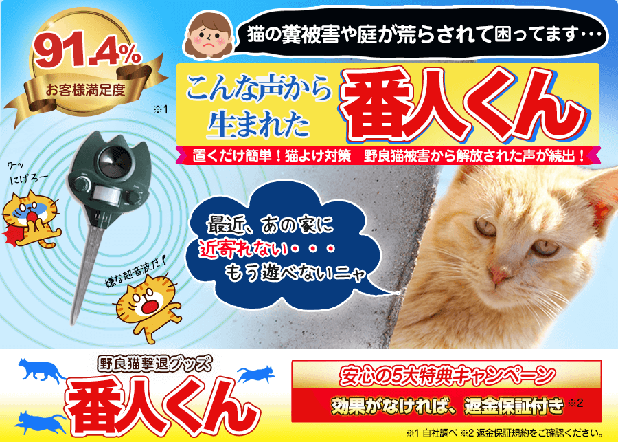 野良猫撃退！猫よけグッズ番人くん