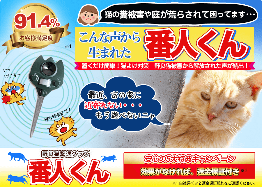 市場 猫よけグッズ 番人くん 3broadwaybistro.com