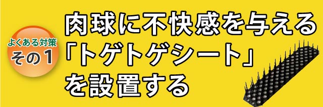 猫よけ対策なら番人くん公式サイト 猫よけ対策なら番人くん公式サイト