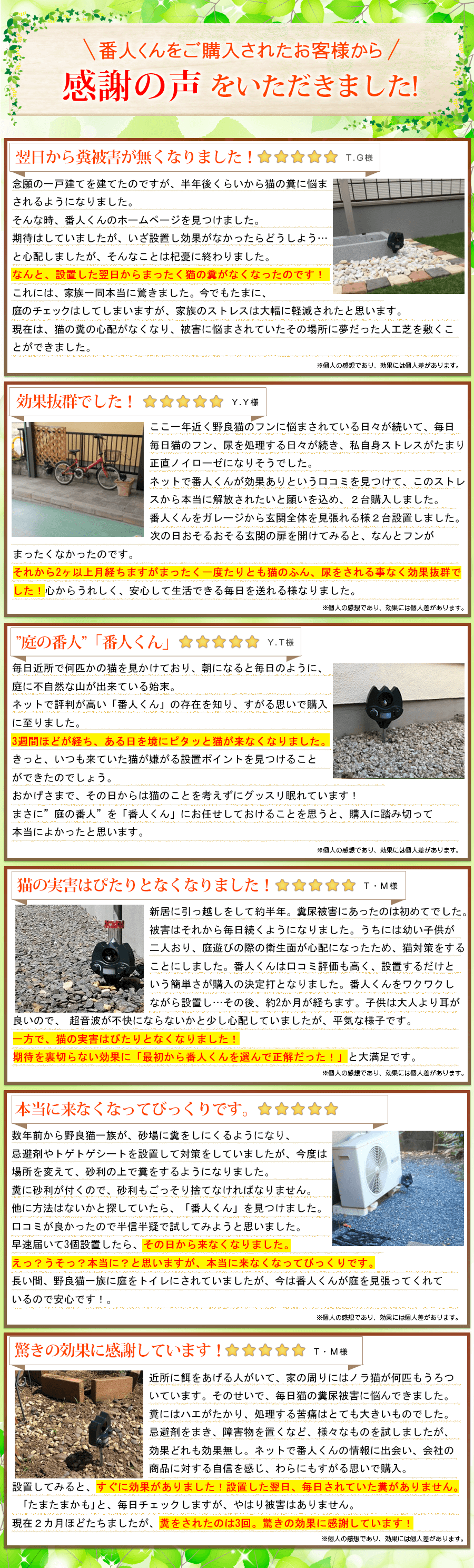 お客様の声3