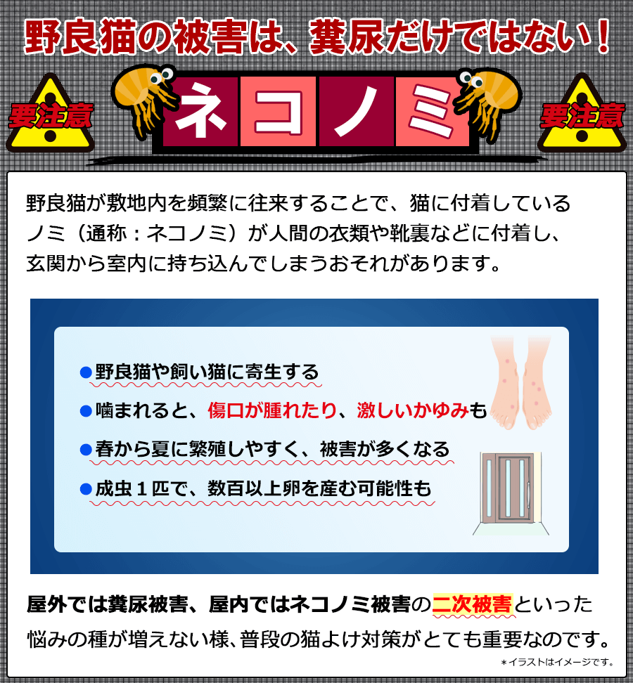 ネコノミ