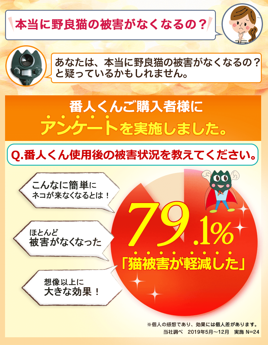 アンケート1