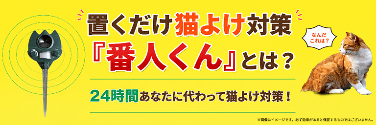 番人くん漫画紹介