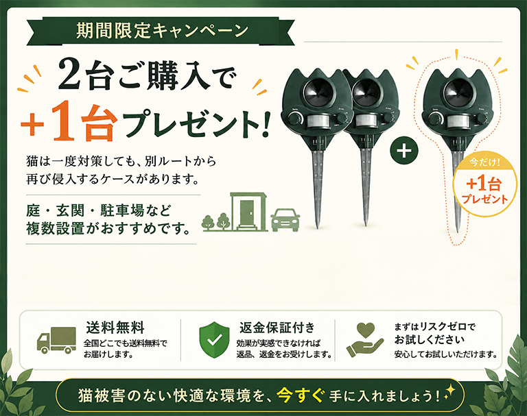 キャンペーン