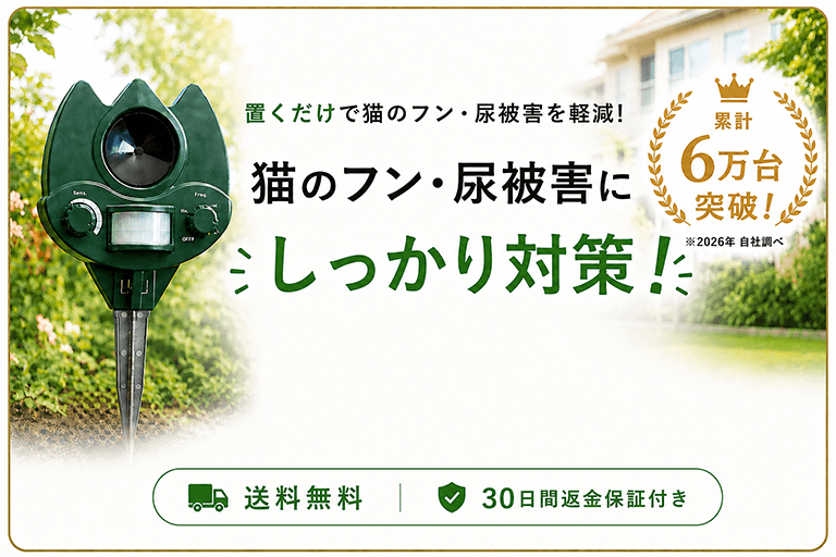 しっかり対策