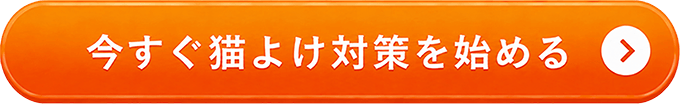 今すぐ試してみる