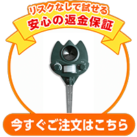 ご注文はこちら