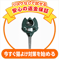 今すぐ猫よけ対策を始める