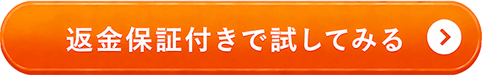 返金保証付きで試してみる