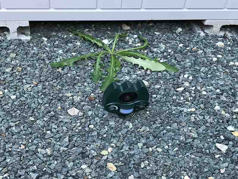 番人くん設置写真6