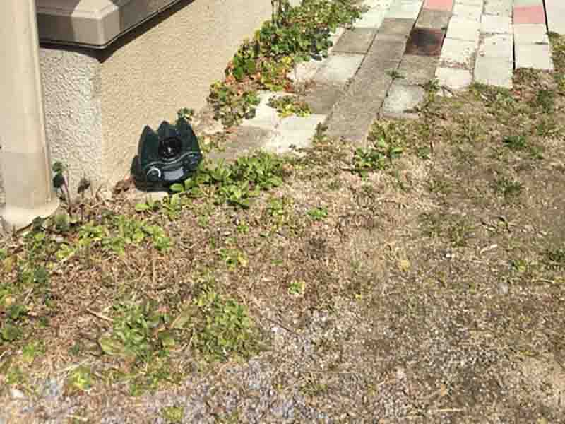 番人くん設置写真17